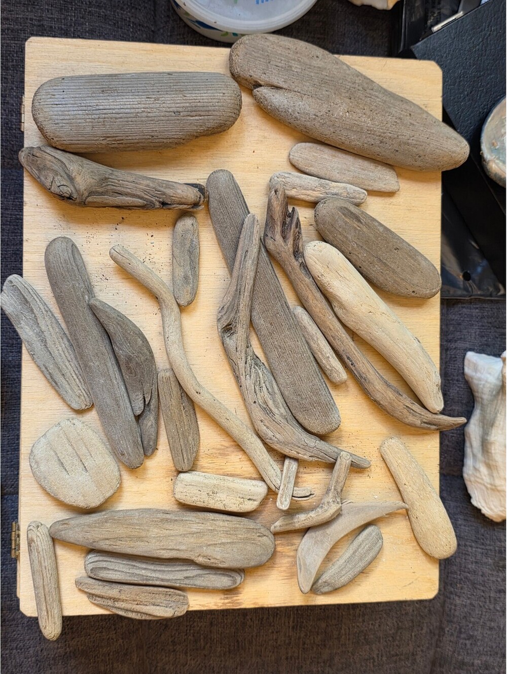 Vintage Natural Ocean Beach Driftwood Pieces Lot for Crafting & Coastal Decor